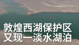 壮观！敦煌大沙地现淡水湖泊