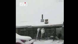 4月飘雪！黑龙江吉林多地降雪