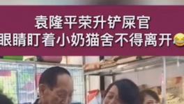 袁隆平养猫了 “喜提”猫咪晋升“铲屎官”