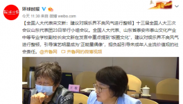 宋文新:娱乐行业不良时尚整改建议